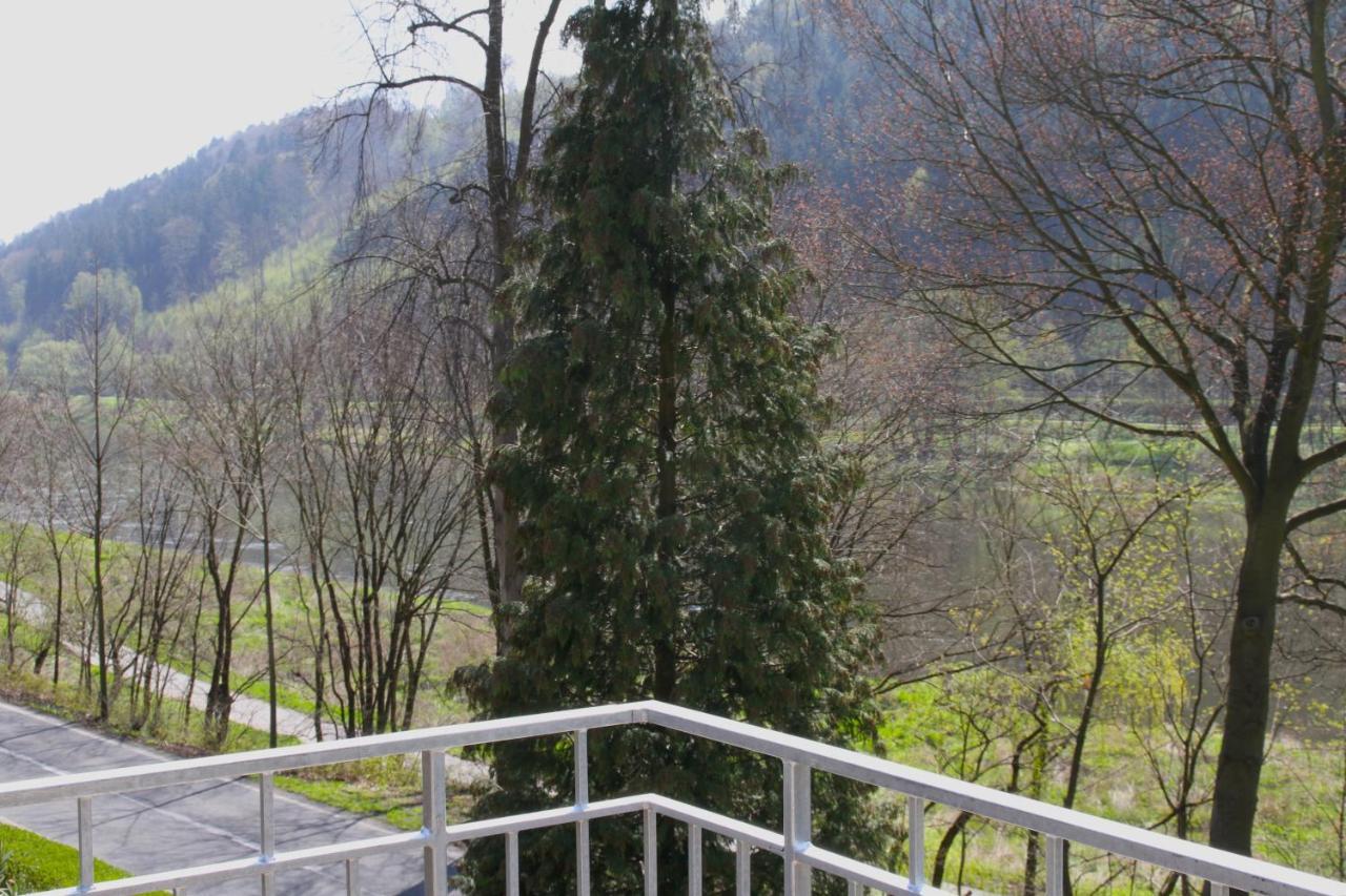 바트샨다우 Haus Elbsinfonie 빌라 외부 사진